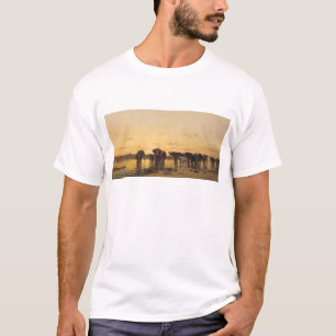 Camiseta Elefantes africanos