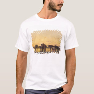 Camiseta Elefantes africanos