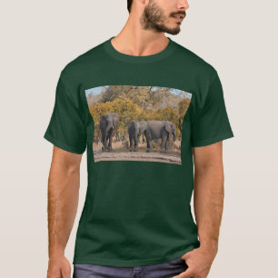 Camiseta Elefantes de Kruger