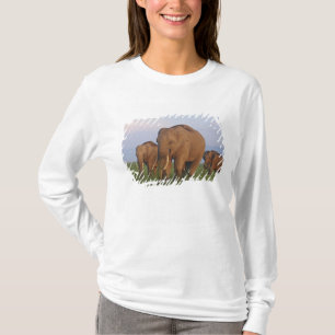 Camiseta Elefantes indianos na pastagem