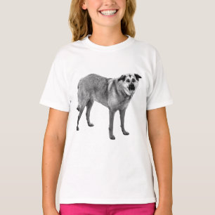 Camiseta elegância na borda de geada, mistura tibetana