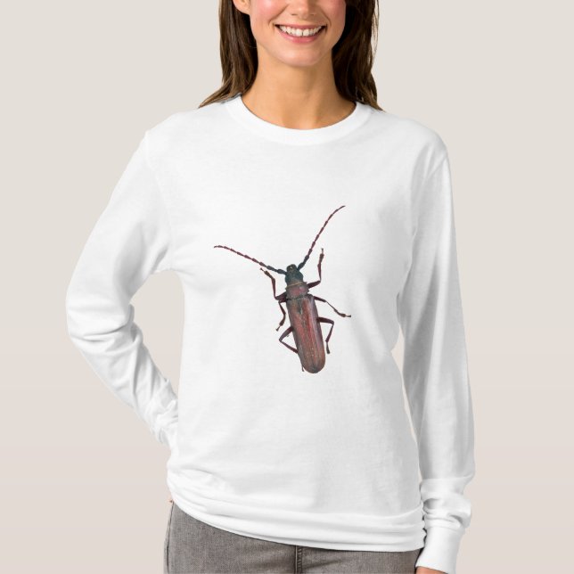 Camiseta Elementos de coordenação do besouro Longhorn (Frente)