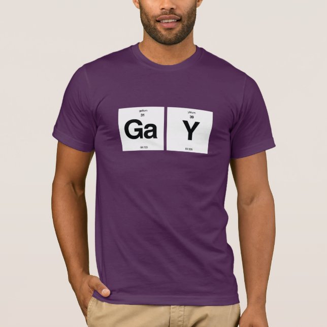 CAMISETA ELEMENTOS GAYS (Frente)