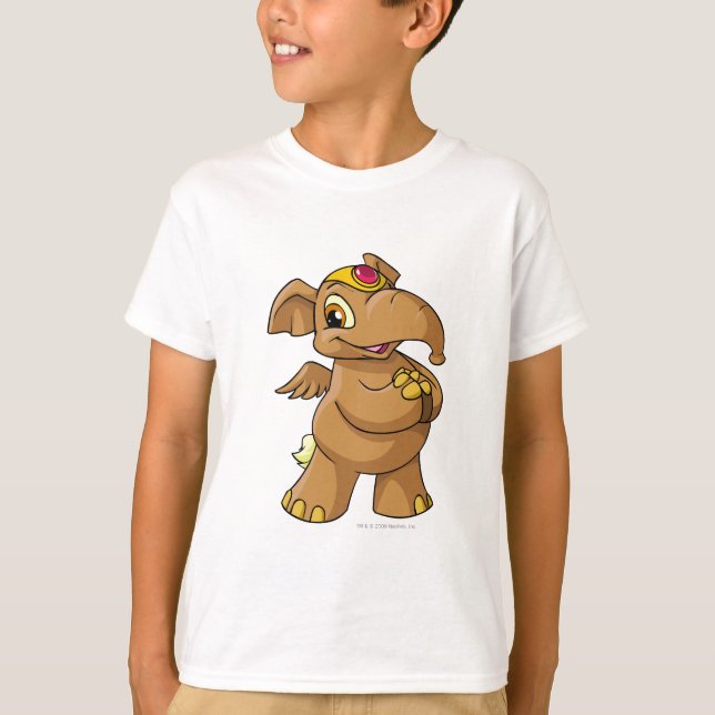 Camiseta Elephante Brown (Frente)