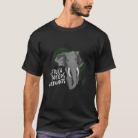 Elephants Ambiental Africa Conservation