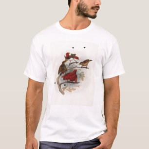 Camiseta Elliot - Cicinnurus régios - rei pássaro do