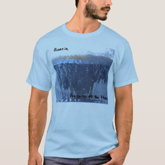 Camiseta Elogio a tudo você ouve o t-shirt