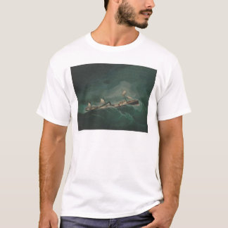Camiseta Embarcação do transporte… na tempestade (1261)