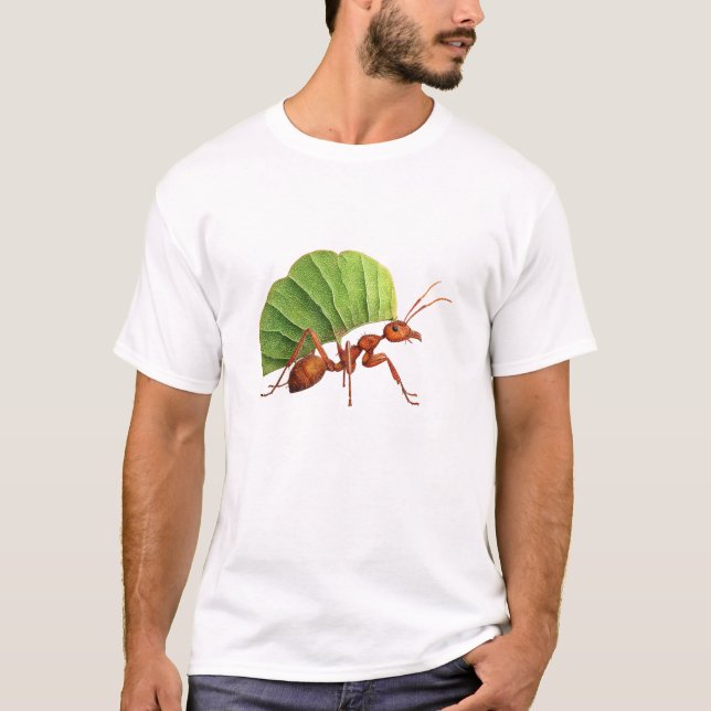 Camiseta Emerald Leafwing Ant (Frente)