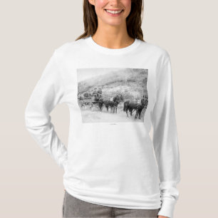 Camiseta Empresa expressa de Wells Fargo