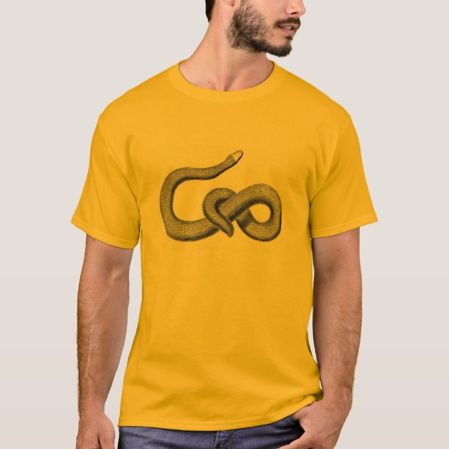 Camiseta Encanto do cobra (Frente)