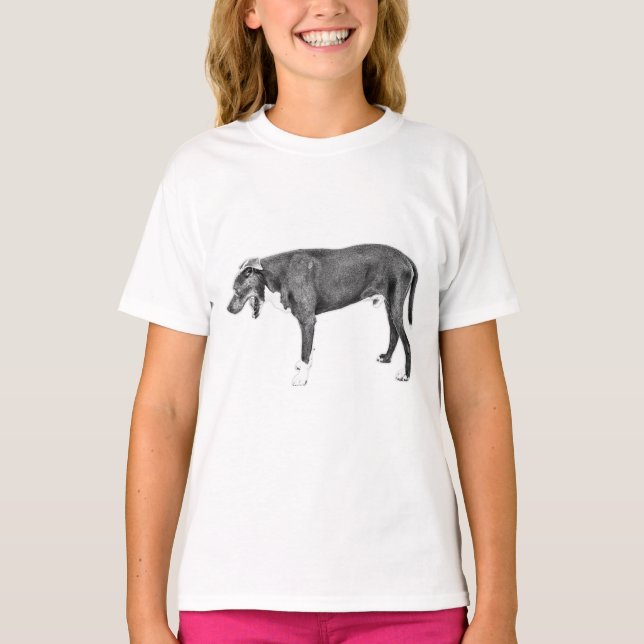 Camiseta Enchimento: Combinação de Bulls em Preto e Branco (Frente)