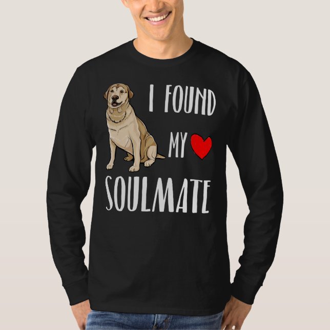 Camiseta Encontrei Meu Cachorro De Labrador Mais Vasteiro P (Frente)