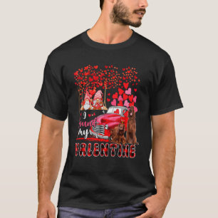 Camiseta Encontrei Namorados Dois Bons Setores Irlandeses C