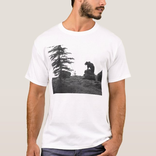 CAMISETA ENCONTROS DO URSO DE URSO DE MONTANA (Frente)