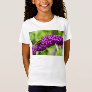 Camiseta energia do grilo-katydid