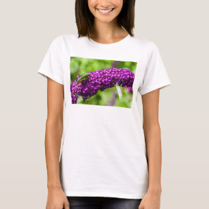 Camiseta energia do grilo-katydid