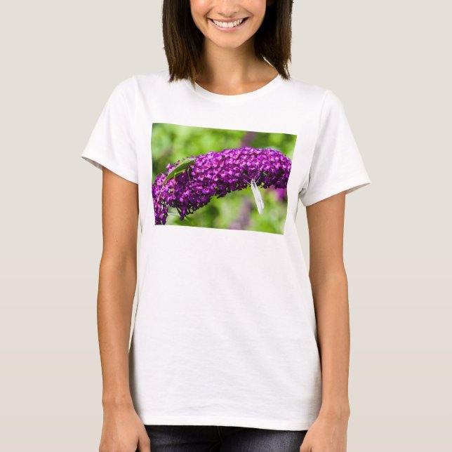 Camiseta energia do grilo-katydid (Frente)