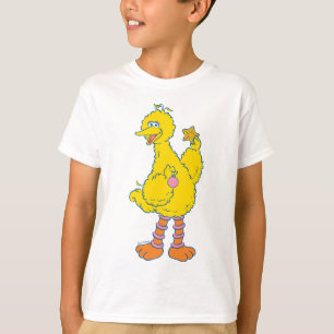 Camiseta Enfeites de natal de seguradoras de pássaros gran