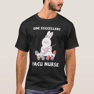 Camiseta Enfermeira Pacu Dia de Páscoa Enfermagem Coelho Ov