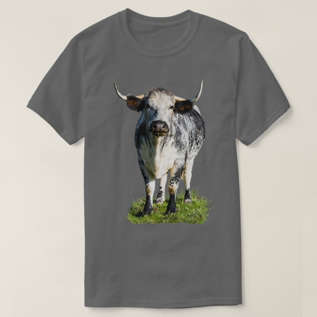 Camiseta English Longhorn Cow  (Frente do Design)