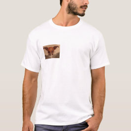Camiseta engraçada de cachorro, presente fofo para