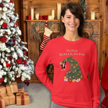 Engraçada Gato na Árvore de Natal