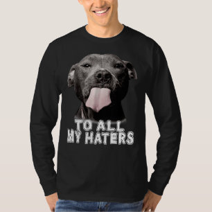 Camiseta Engraçada Pitbull Para Todos Os Meus Odiadores Cac