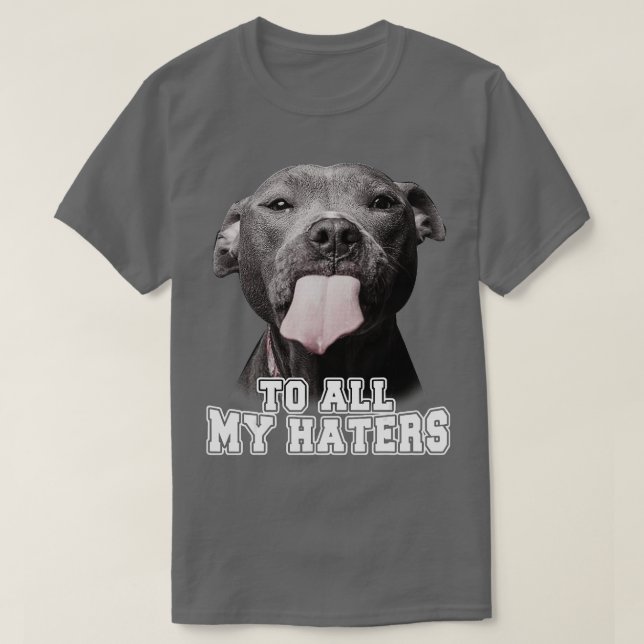 Camiseta Engraçada Pitbull Para Todos Os Meus Odiadores Cac (Frente do Design)