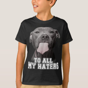 Camiseta Engraçada Pitbull Para Todos Os Meus Odiadores Cac