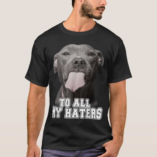 Camiseta Engraçada Pitbull Para Todos Os Meus Odiadores Cac (Frente)