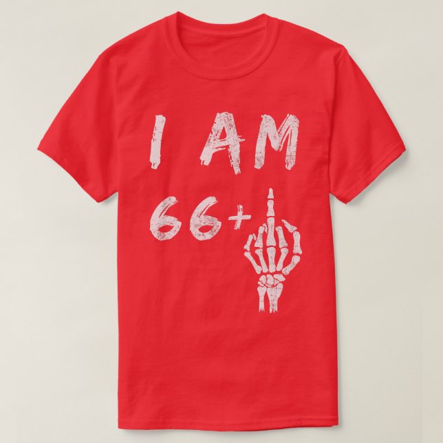 Camiseta Engraçado 67º Aniversário Eu Tenho 66 Mais Esquele (Frente do Design)