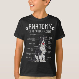 Camiseta Engraçado Anatomia Borda Collie Cachorro