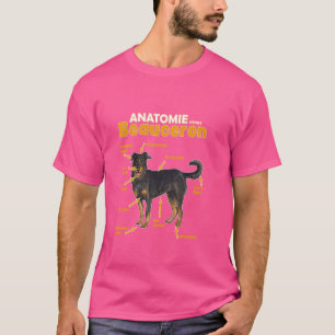 Camiseta Engraçado Anatomia de Bela para Homens e Mulheres