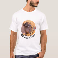 Engraçado cabeça de Camel no deserto de Oman Wahib