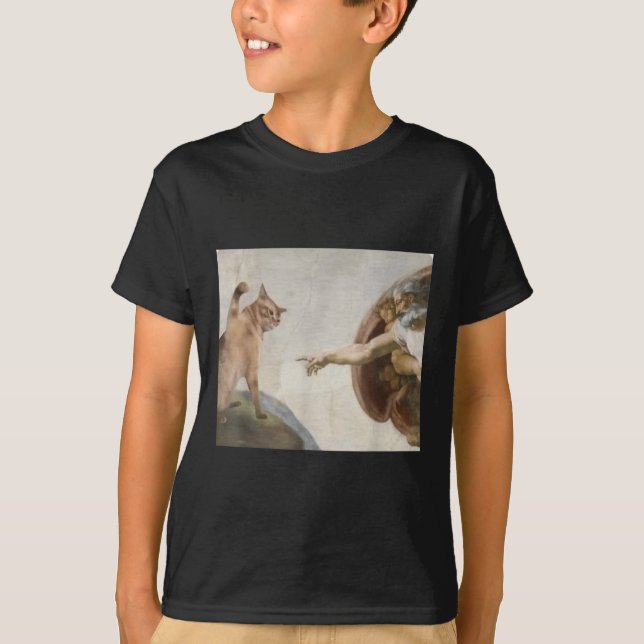 Camiseta Engraçado Gato Criação De Adão Meme Michelangelo J (Frente)