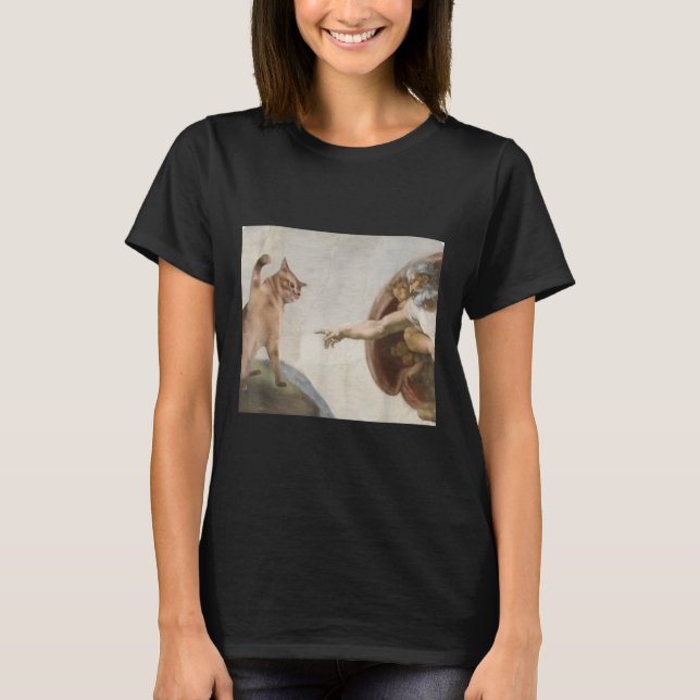 Camiseta Engraçado Gato Criação De Adão Meme Michelangelo J (Frente)