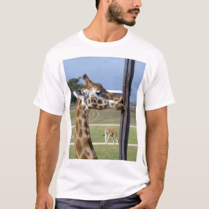 Camiseta Engraçado Girafa Pucker Os Lábios,