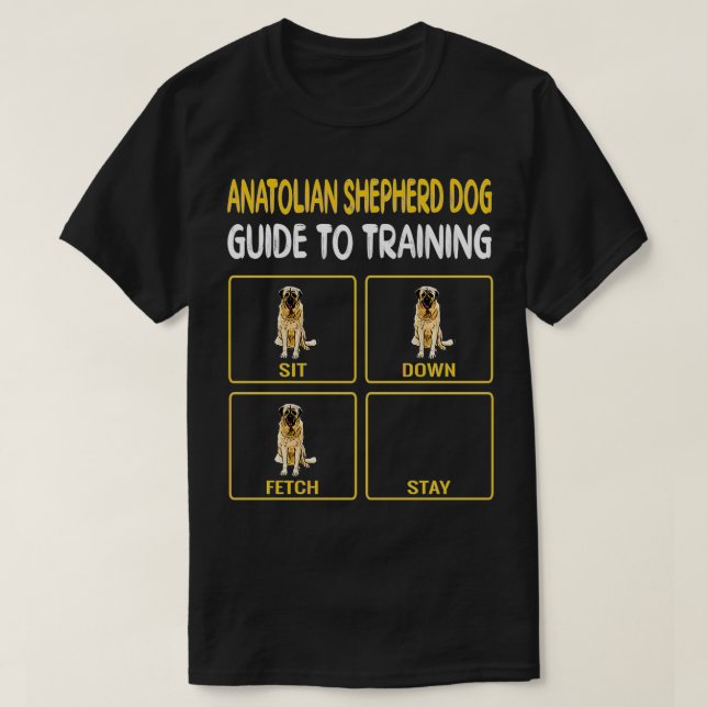 Camiseta Engraçado Guia Anatóreo De Cachorro Para Treinar C (Frente do Design)