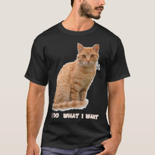 Camiseta Engraçado Laranja Tabby Cat Aluga Presentes
