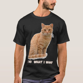 Camiseta Engraçado Laranja Tabby Cat Aluga Presentes