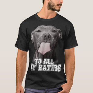 Camiseta Engraçado Pitbull Para Todos Os Meus Odiadores Cam