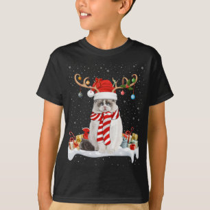 Camiseta Engraçado Xmas Lighting Reindeer Santa Hat Ragdoll