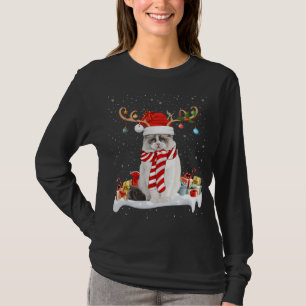 Camiseta Engraçado Xmas Lighting Reindeer Santa Hat Ragdoll