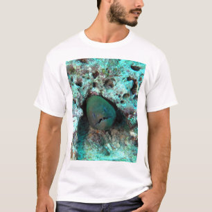 Camiseta Enguia de Moray em Fiji