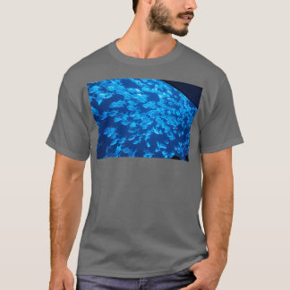 Camiseta Ensino em conjunto