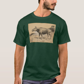 Camiseta Entelodonte