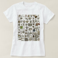 Entomologia do vintage