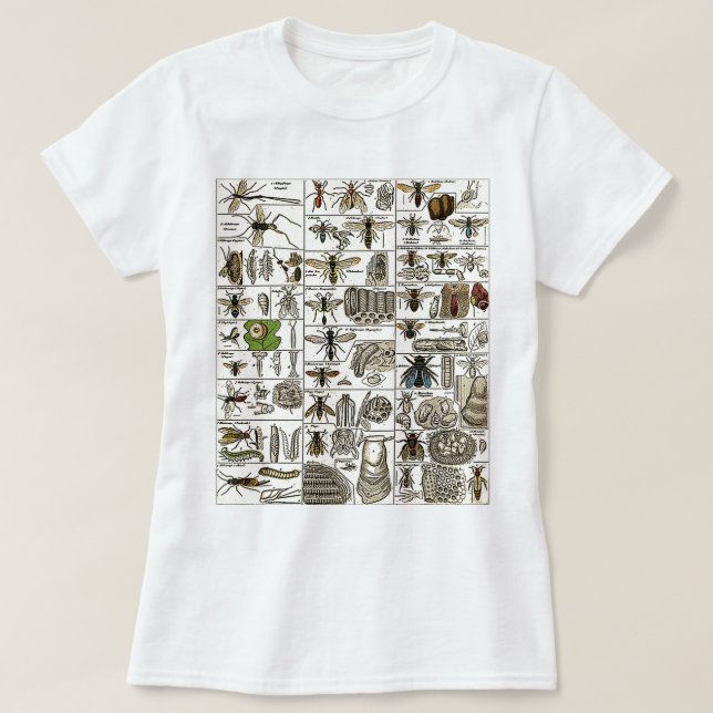 Camiseta Entomologia do vintage (Frente do Design)