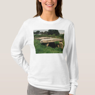 Camiseta Entrada ao hypogaea